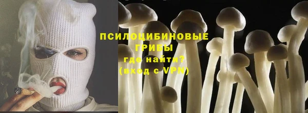 гашик Медвежьегорск