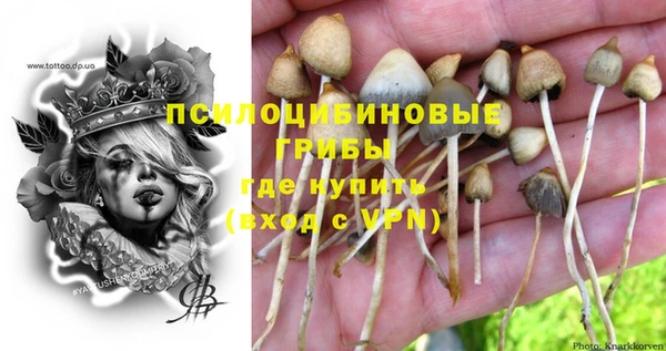 гашик Медвежьегорск