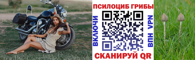 где купить   Томмот  Псилоцибиновые грибы ЛСД 